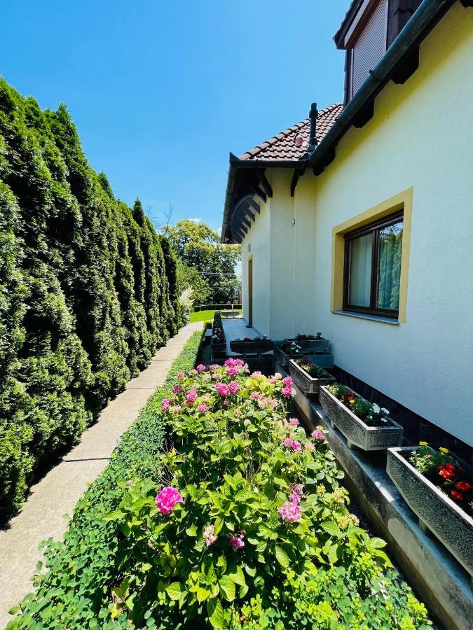 Mikes Deluxe Home Balatonfüred Esterno foto